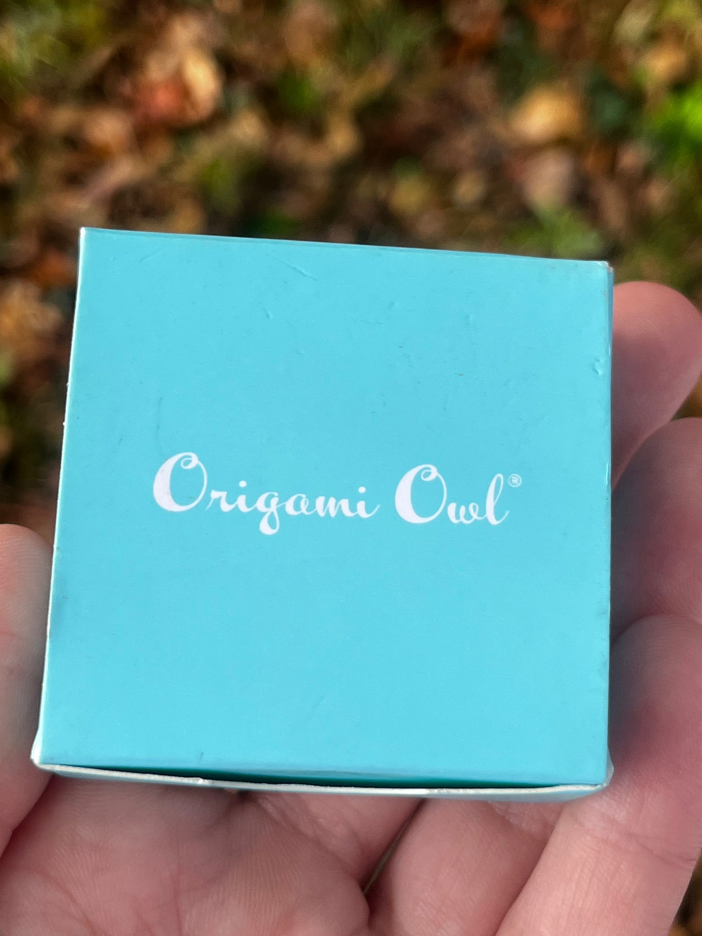 Origami Owl Necklace