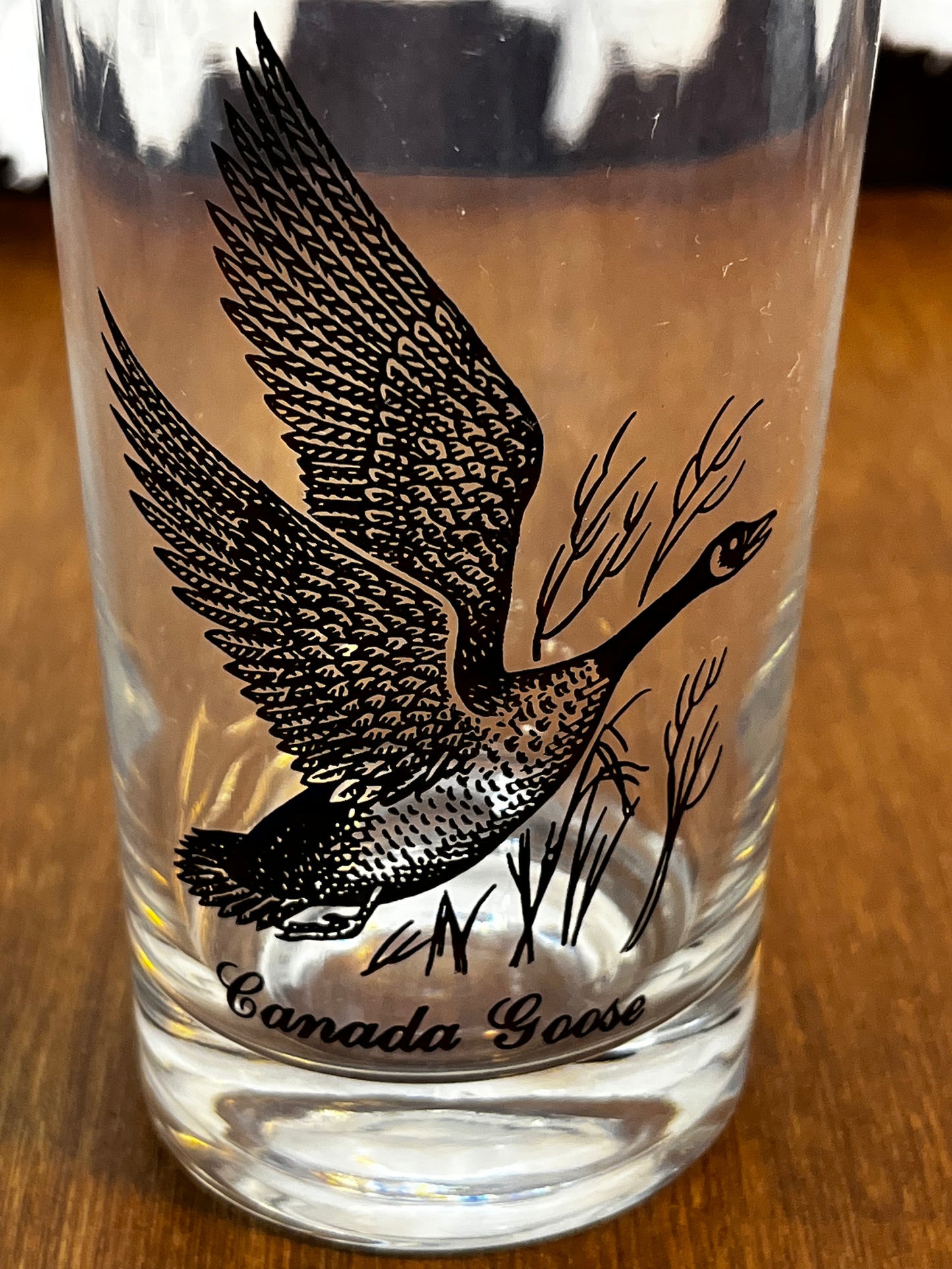 Set Of Four Silver Rimmed Federal Game Bird Drinking Glasses