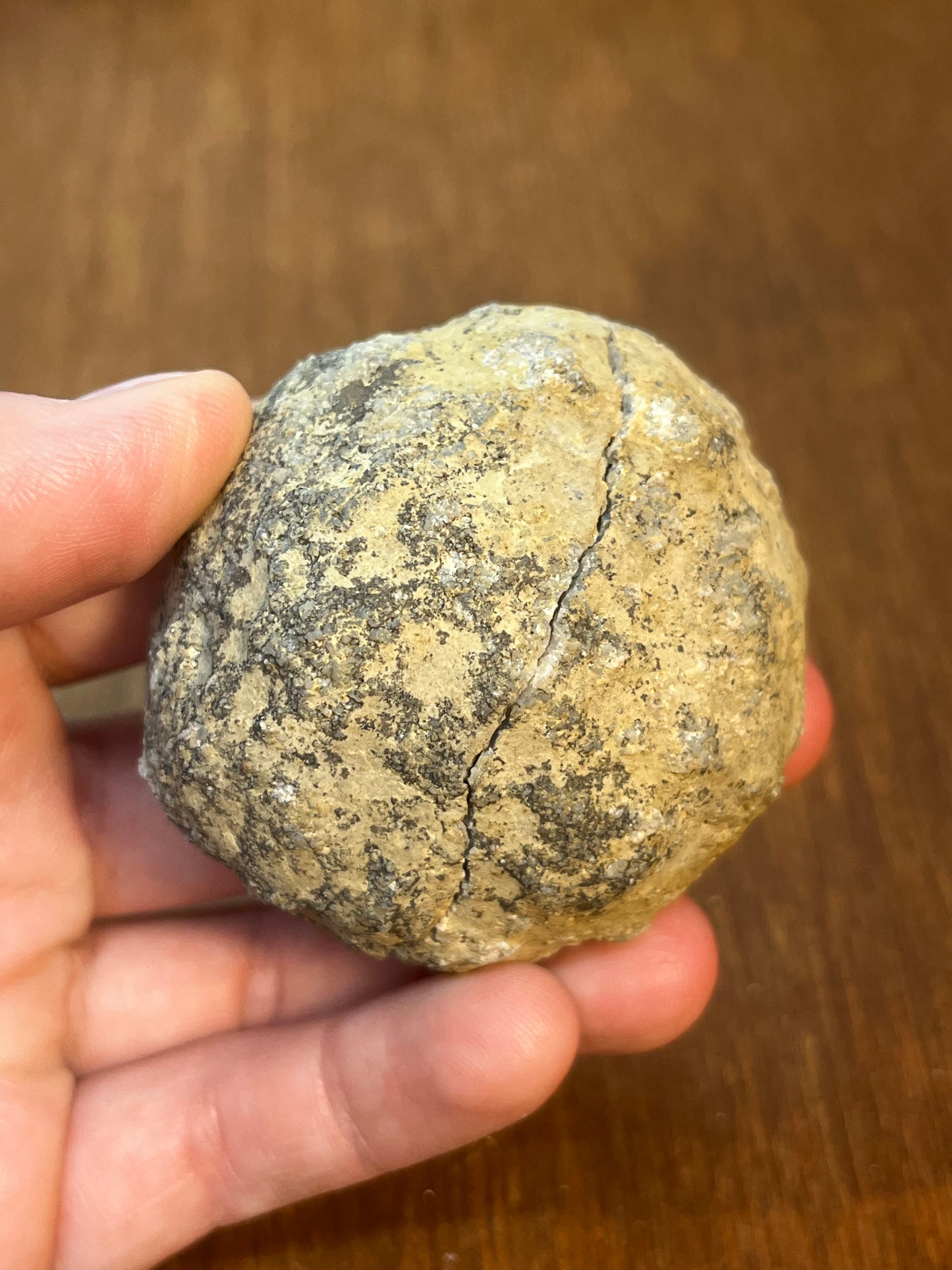 Geode With White And Grey Crystals