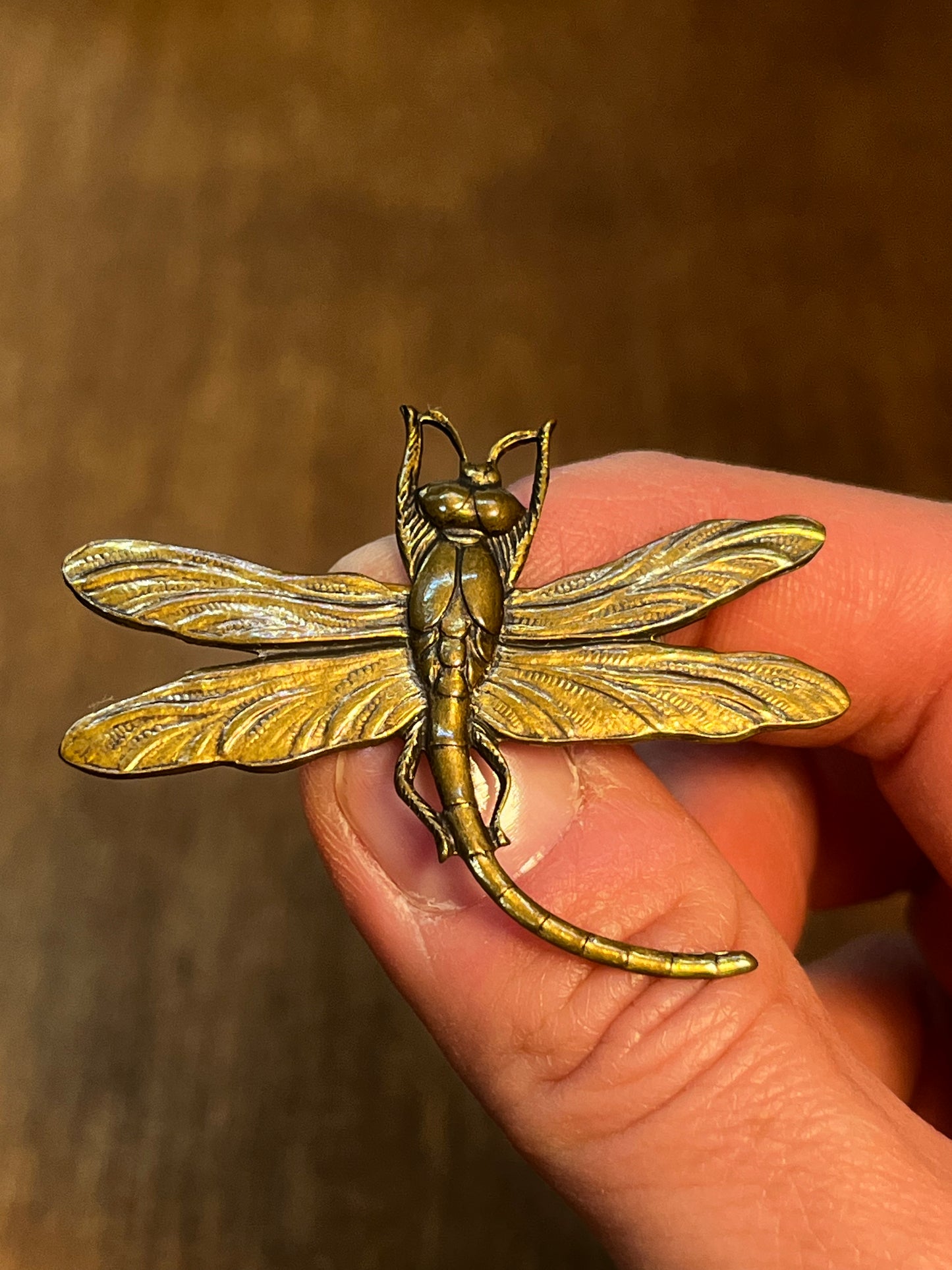 Dragonfly Brooch