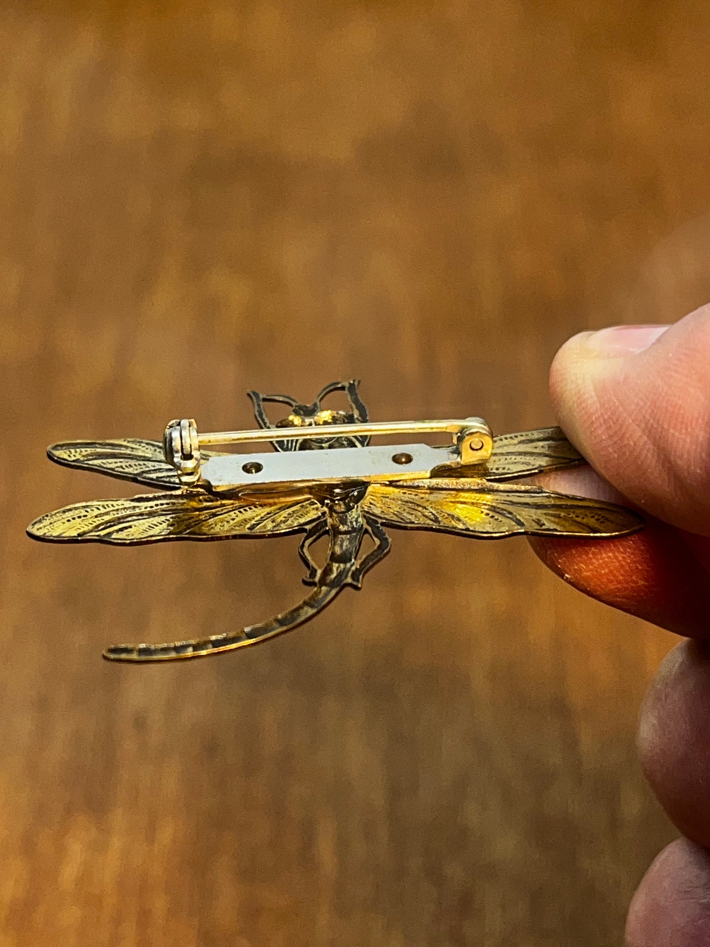 Dragonfly Brooch