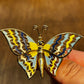 Vintage Mechanical Butterfly Brooch