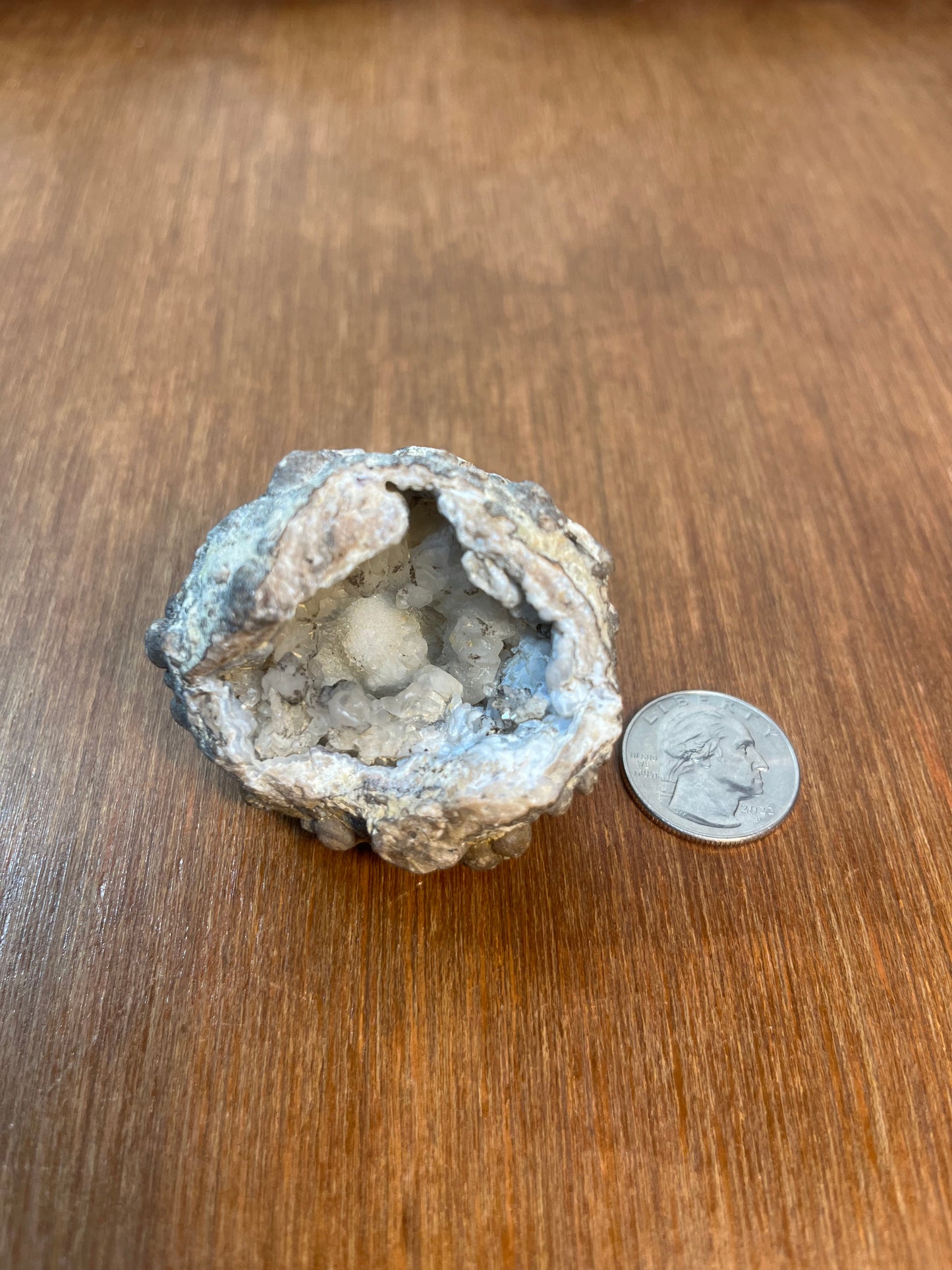 Unique Gray Crystal Filled Natural Geode