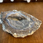 Natural Sparkling Blue Crystal Filled Geode