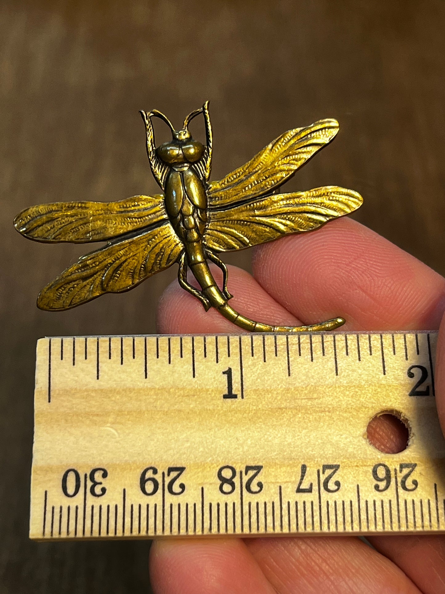 Dragonfly Brooch