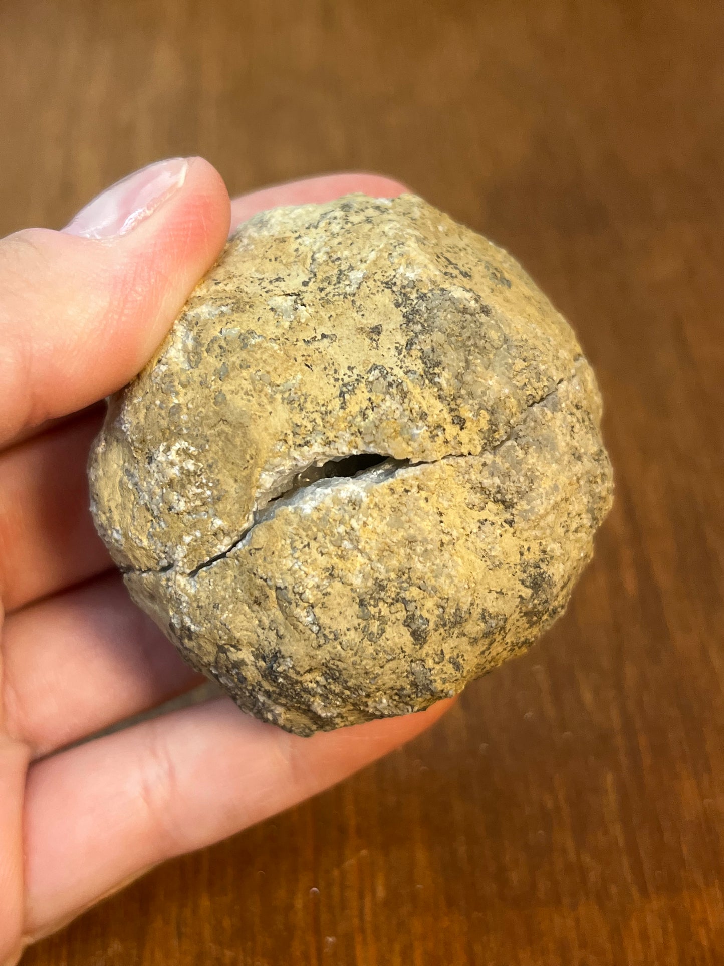 Geode With White And Grey Crystals