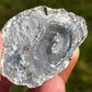 Natural Bluish Gray Crystal Filled Geode