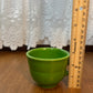 Shamrock Green RRC Lead Free Homer Laughlin Fiesta Ware Tea Cup