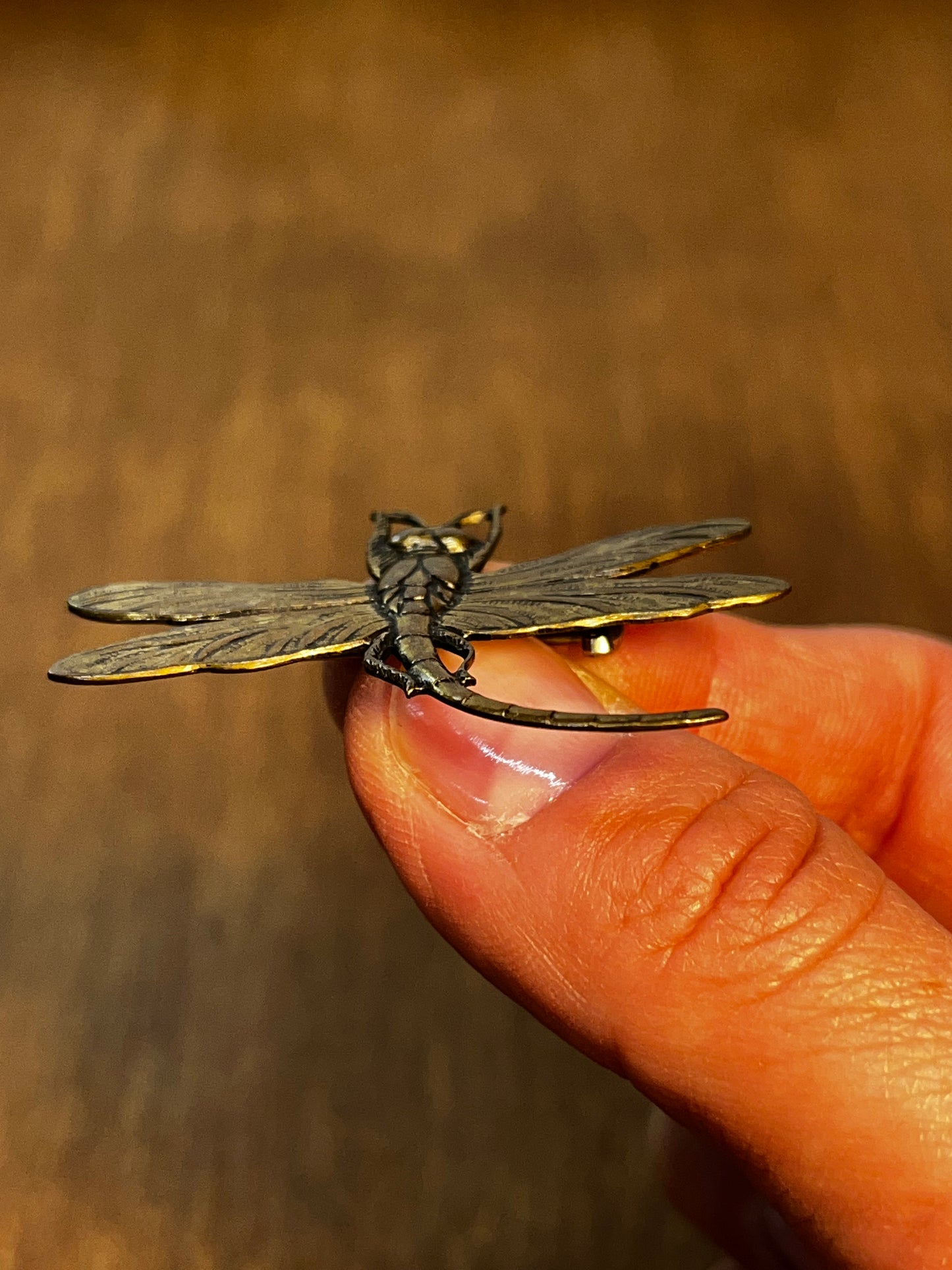 Dragonfly Brooch