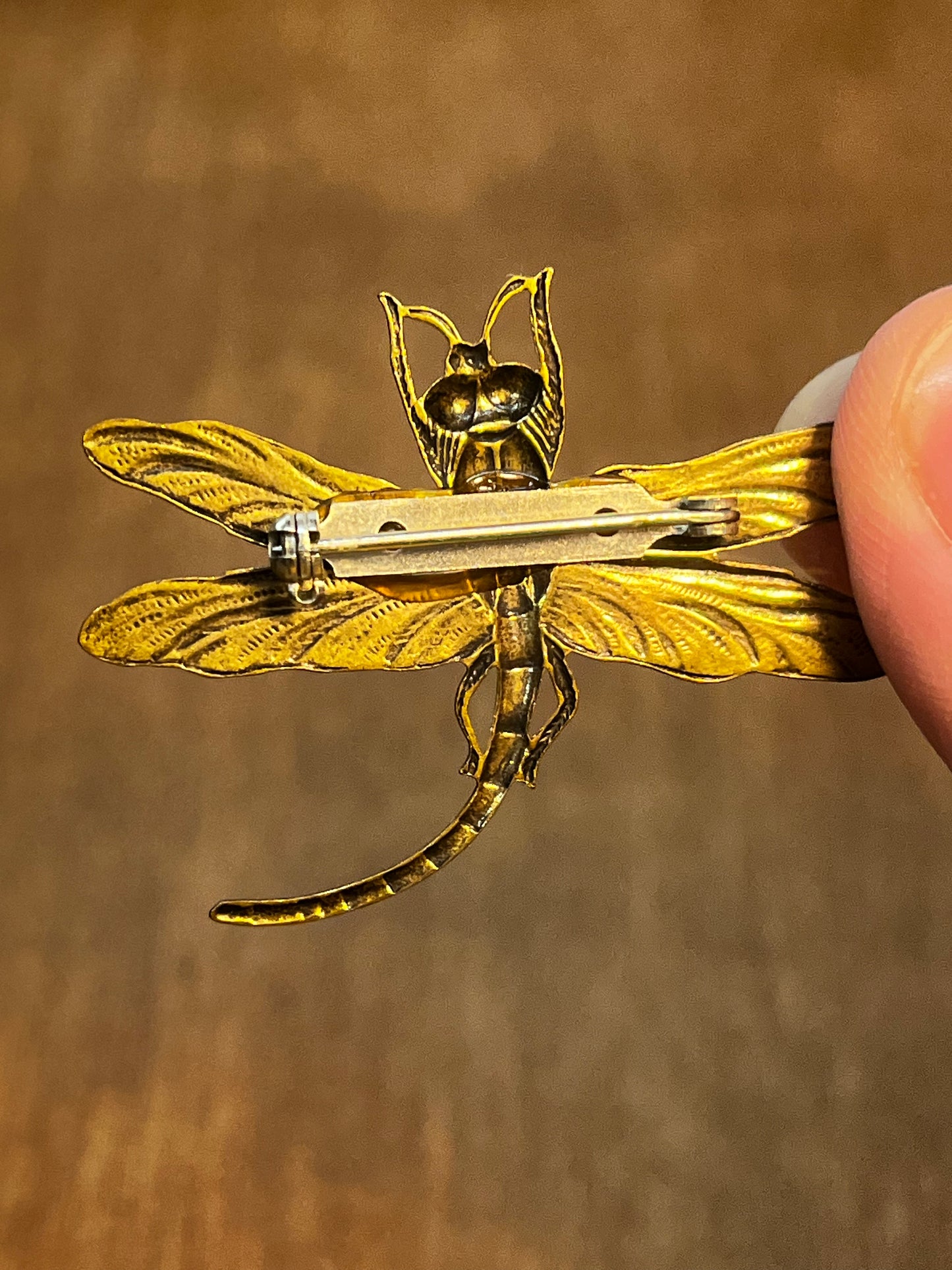 Dragonfly Brooch