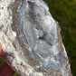 Natural Sparkling Blue Crystal Filled Geode