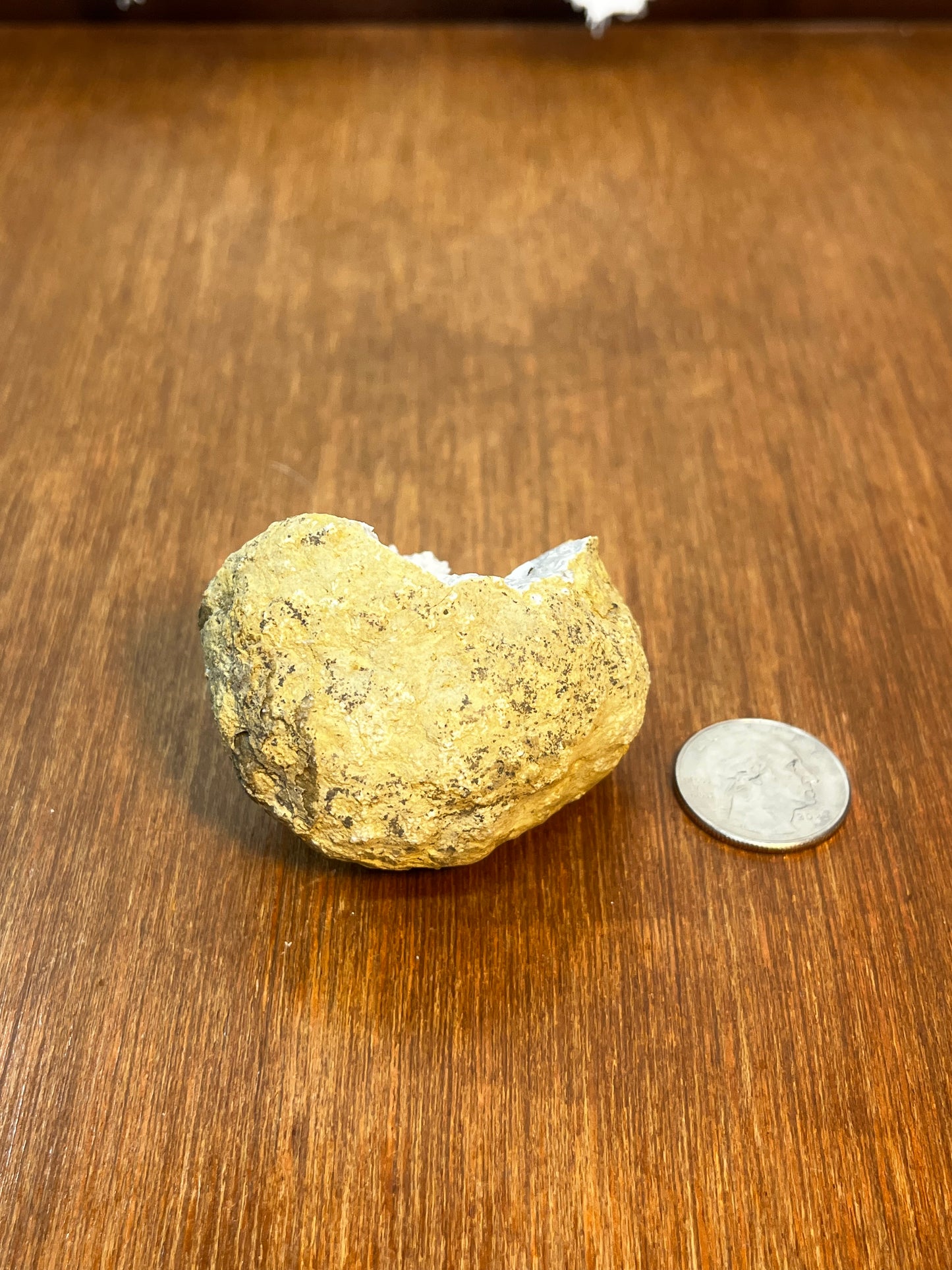 Unique White Geode With Brown & White Minerals And Crystals Inside