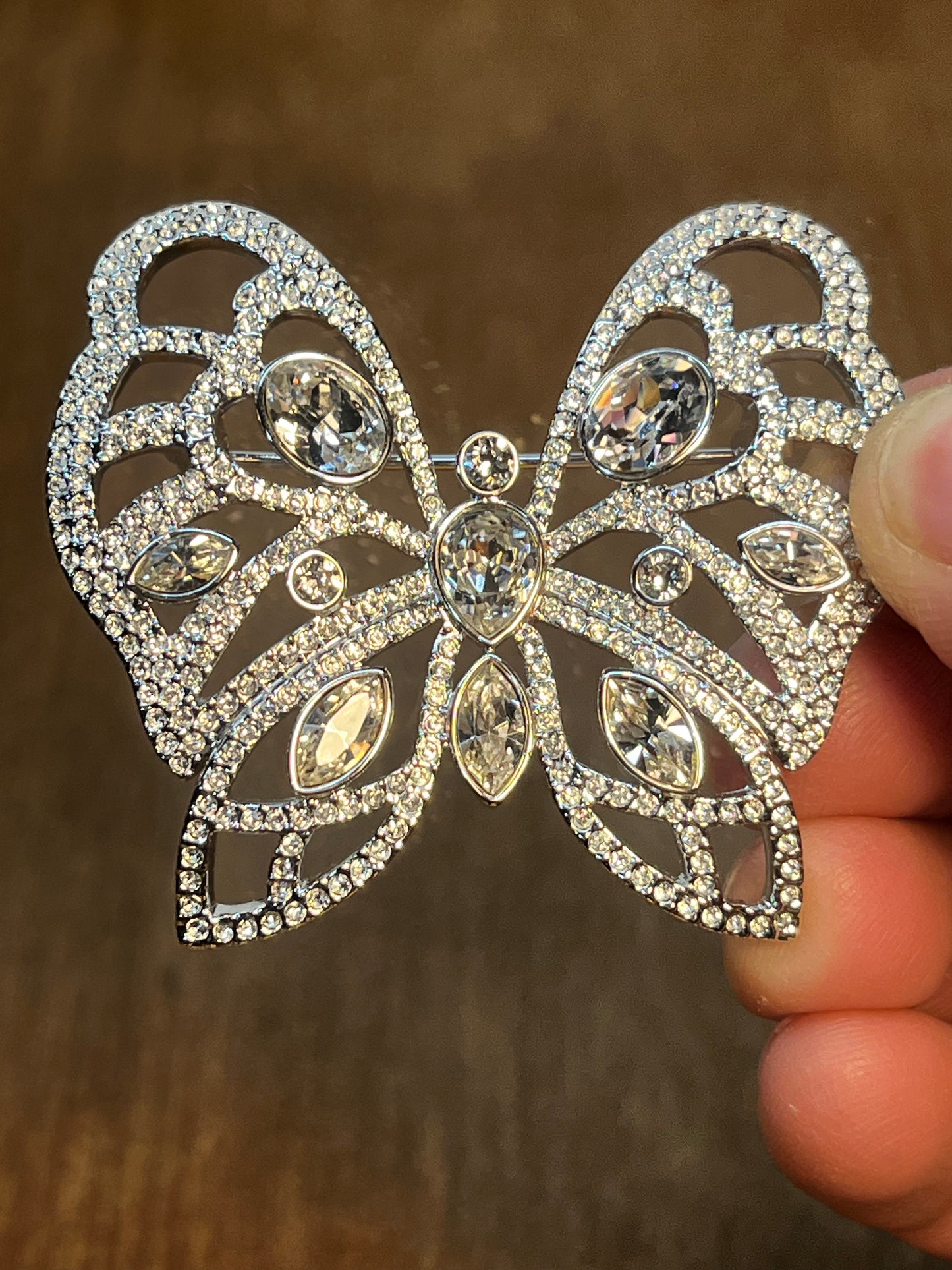 Beautiful Butterfly Brooch