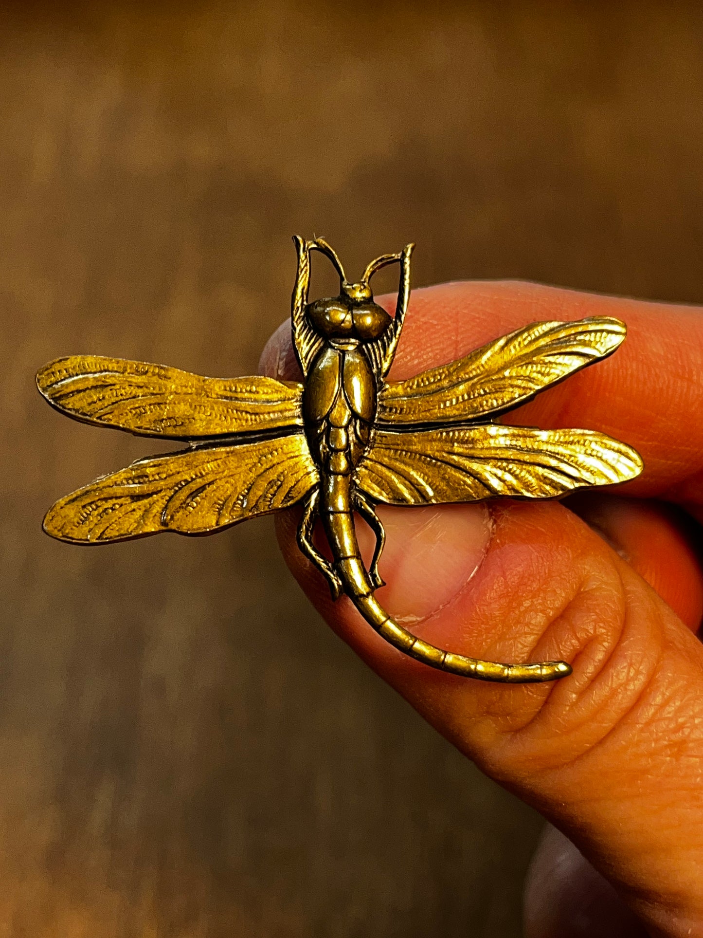 Dragonfly Brooch