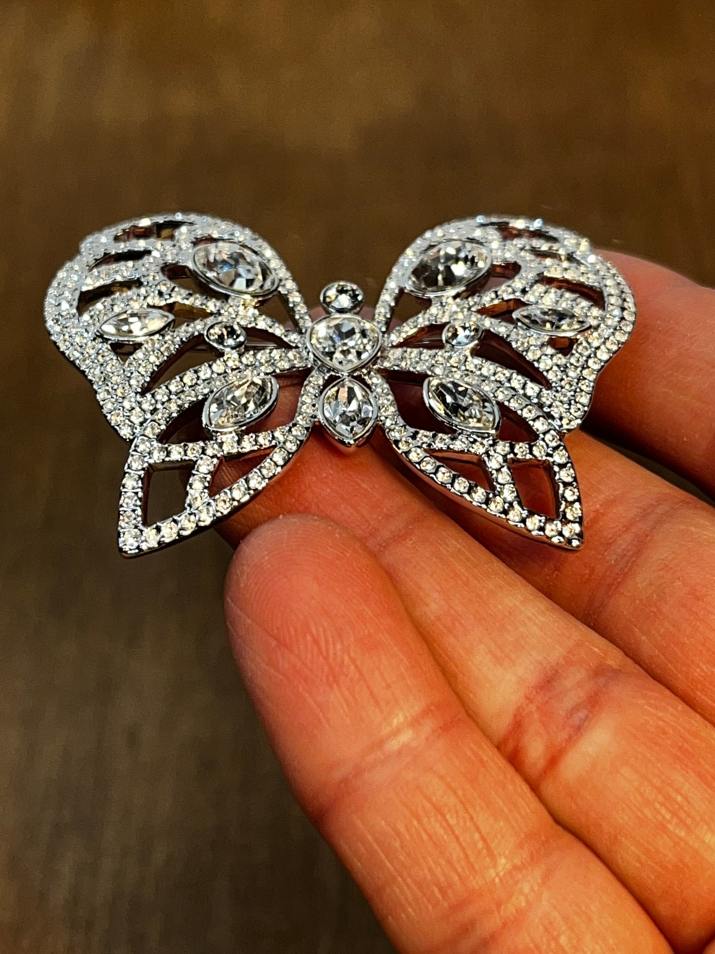 Beautiful Butterfly Brooch