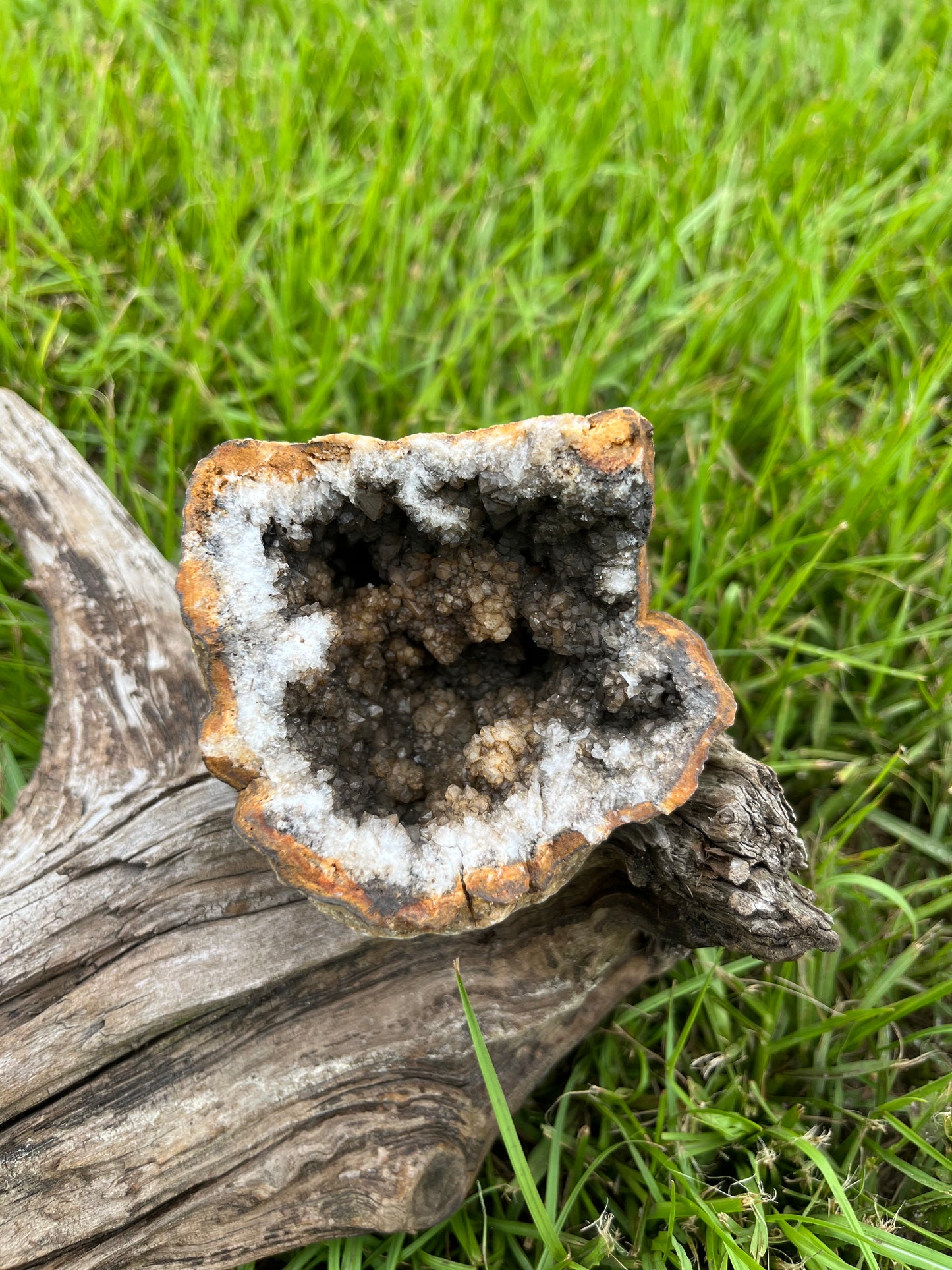 Natural Brown & Black Crystal Geode