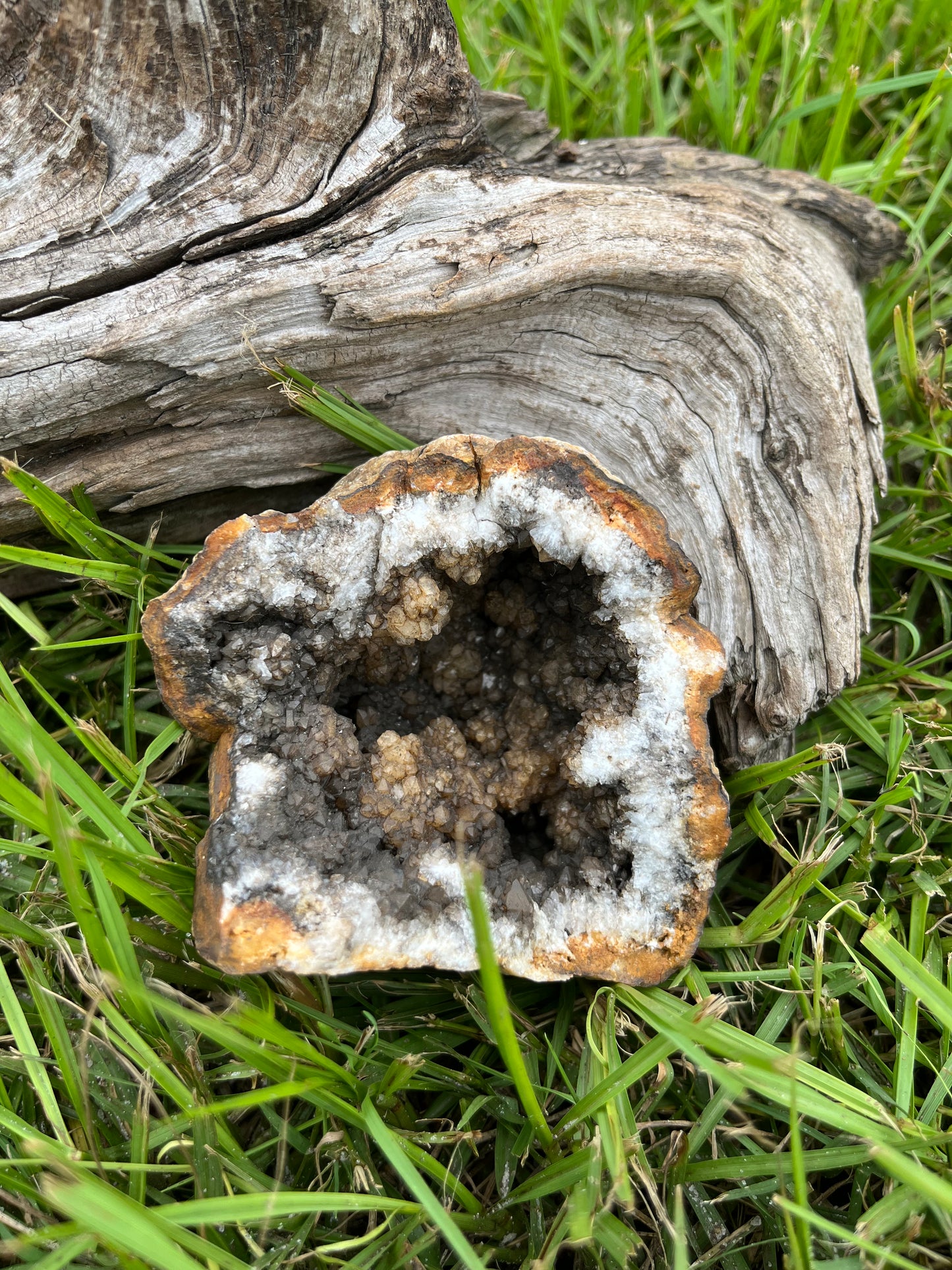 Natural Brown & Black Crystal Geode