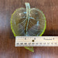 Vintage Set Of 3 Uranium Leaf Glass Dishes