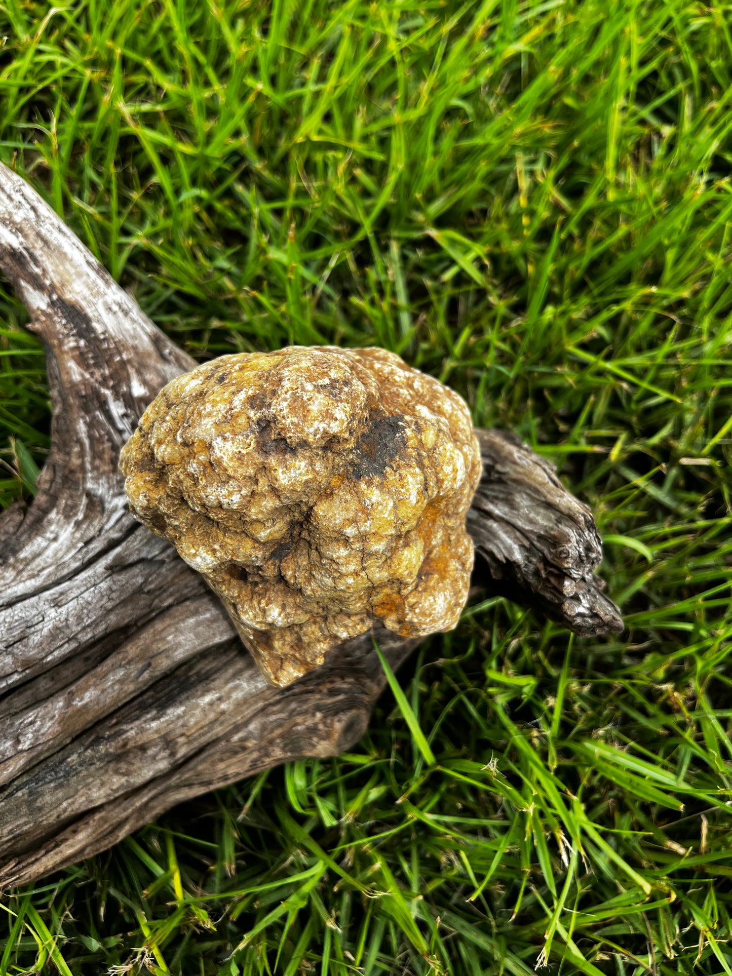 Natural Brown & Black Crystal Geode