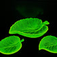 Vintage Set Of 3 Uranium Leaf Glass Dishes