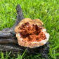 Natural Orange Crystal Geode