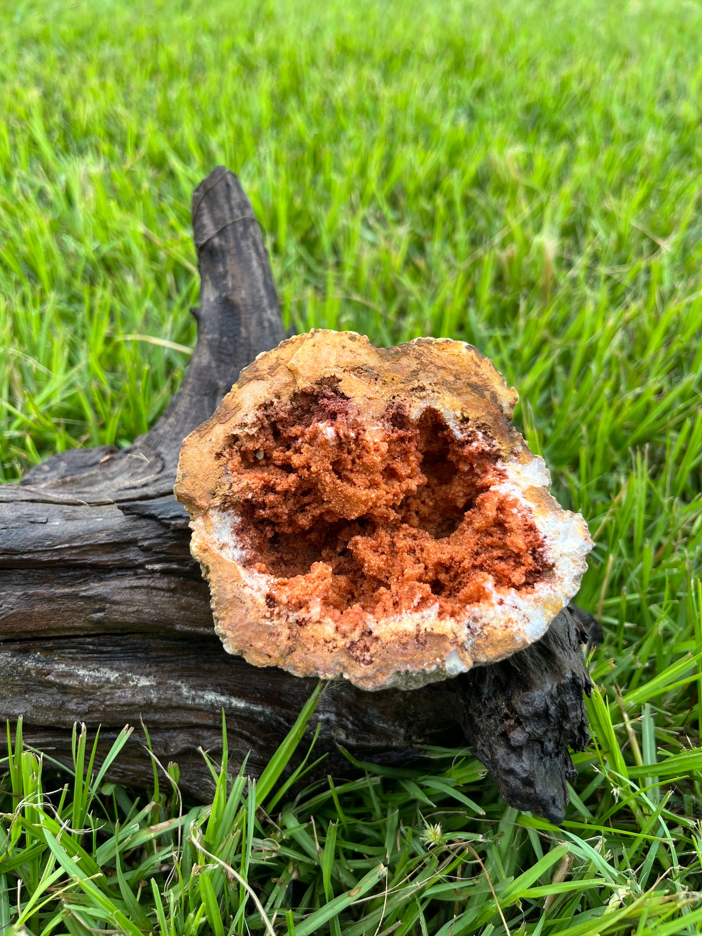 Natural Orange Crystal Geode