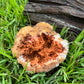 Natural Orange Crystal Geode