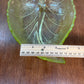 Vintage Set Of 3 Uranium Leaf Glass Dishes