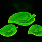 Vintage Set Of 3 Uranium Leaf Glass Dishes