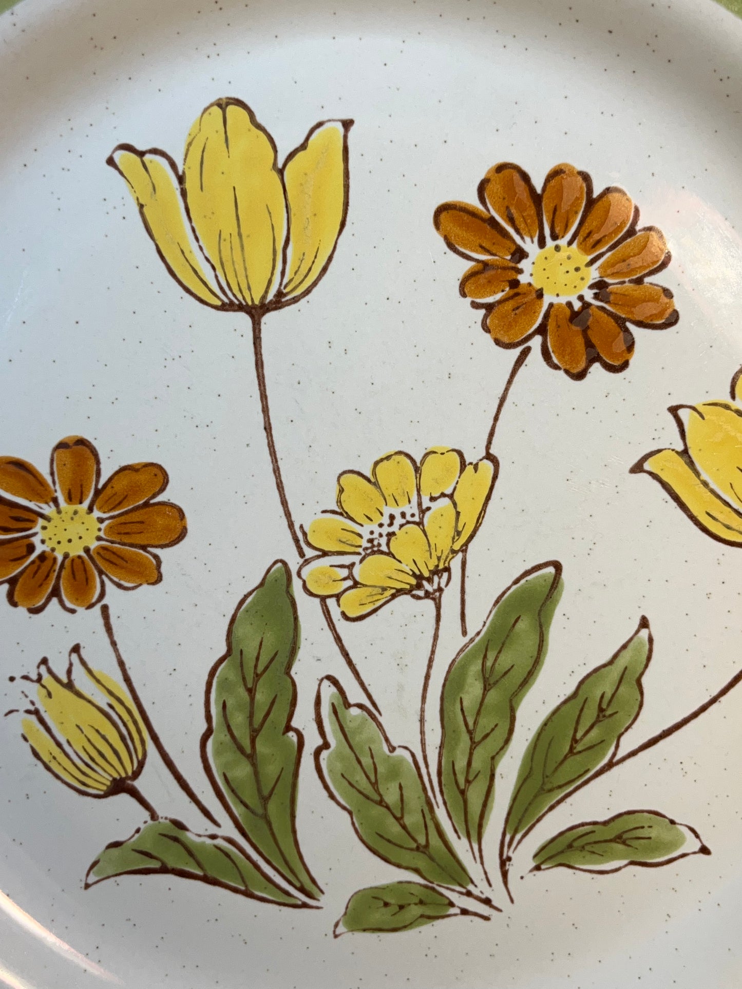 Sunnyvale Country Casual Stoneware Plate