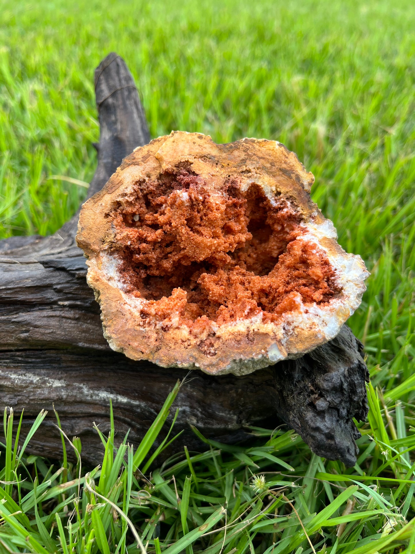 Natural Orange Crystal Geode