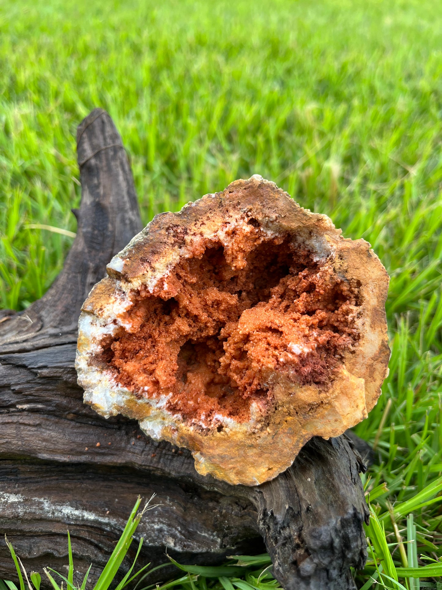 Natural Orange Crystal Geode