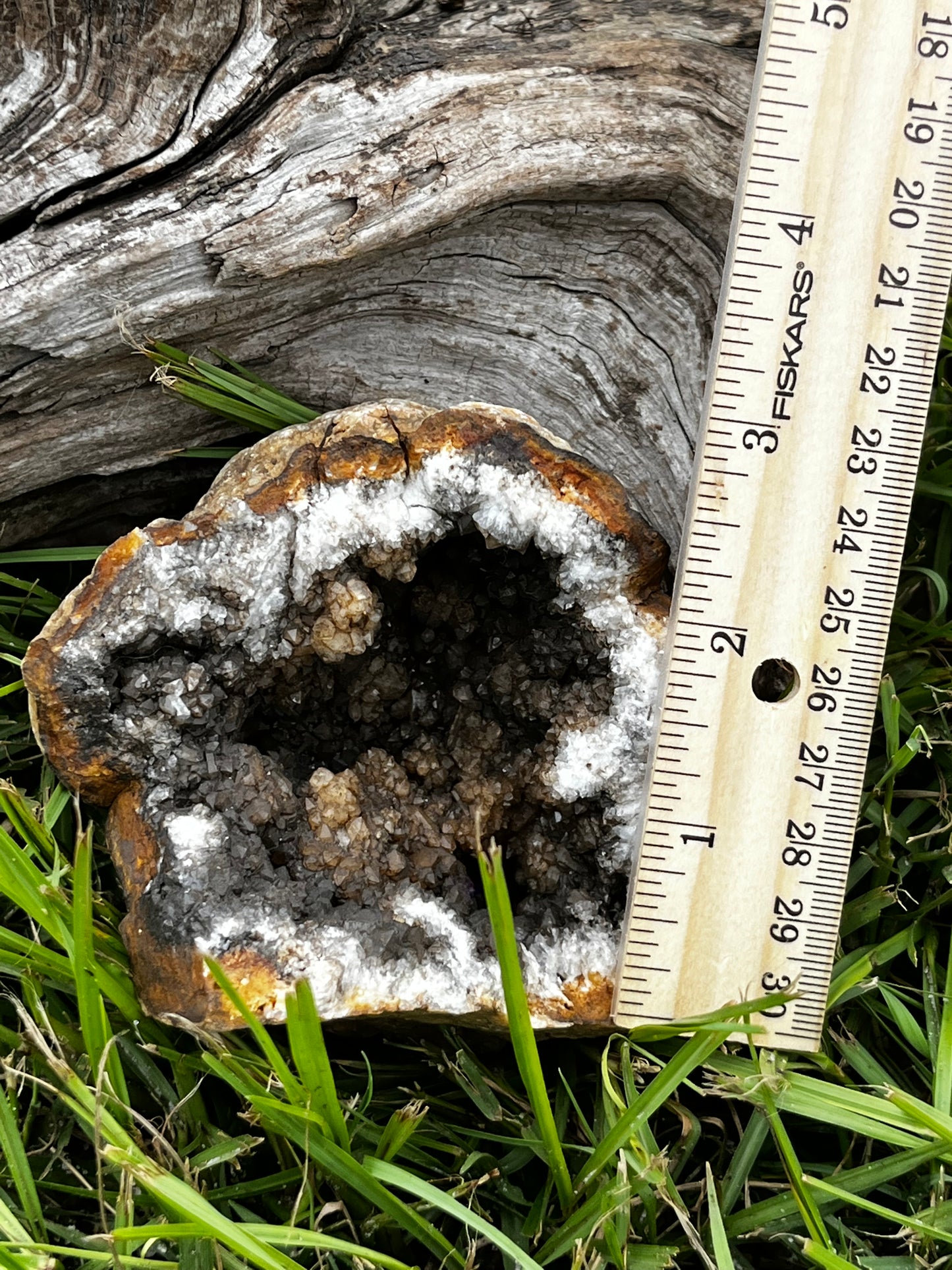 Natural Brown & Black Crystal Geode