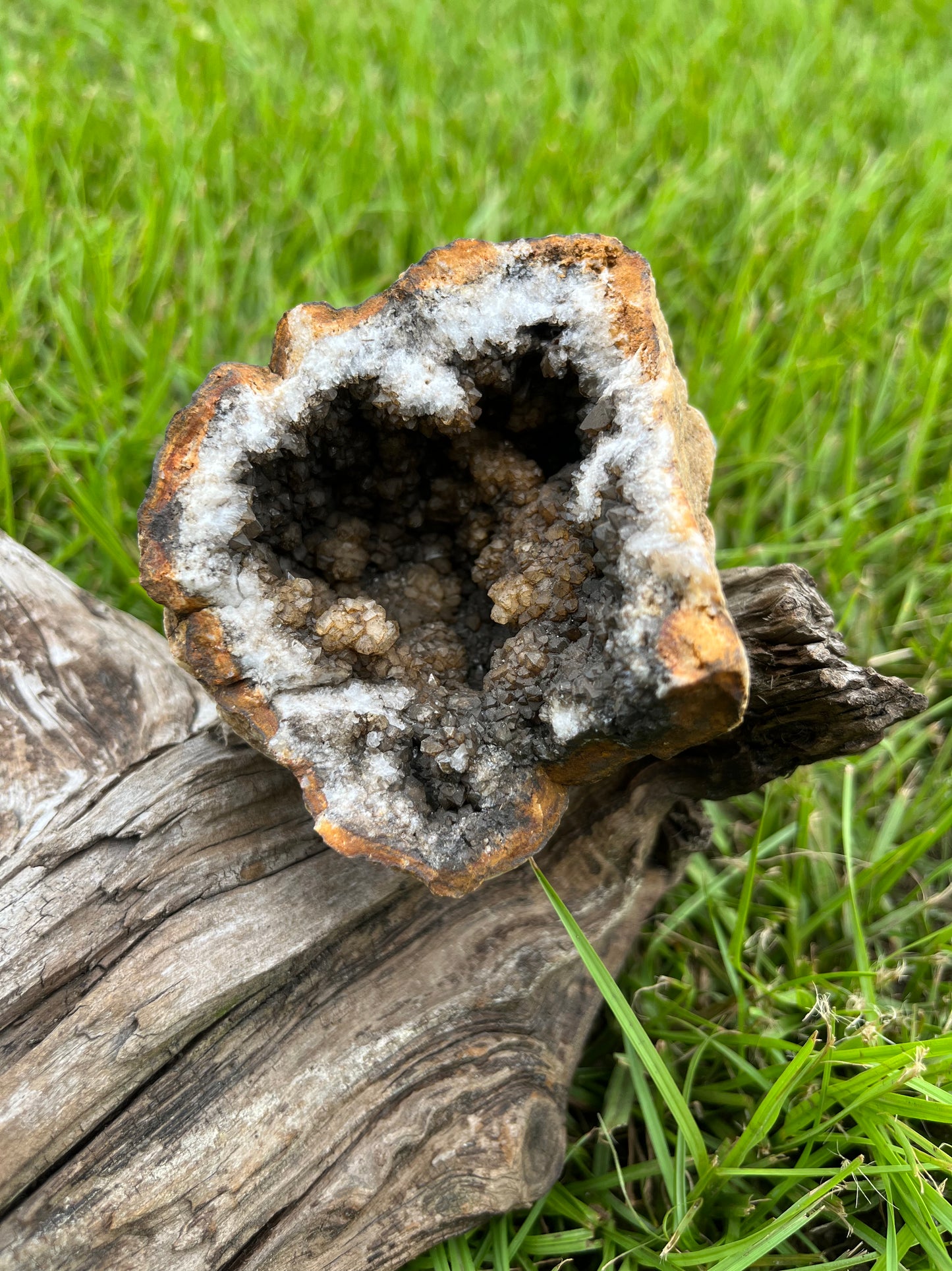 Natural Brown & Black Crystal Geode