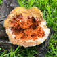 Natural Orange Crystal Geode