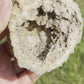 Beautiful Natural Brown & Clear Crystal Geode