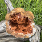 Natural Orange Crystal Geode