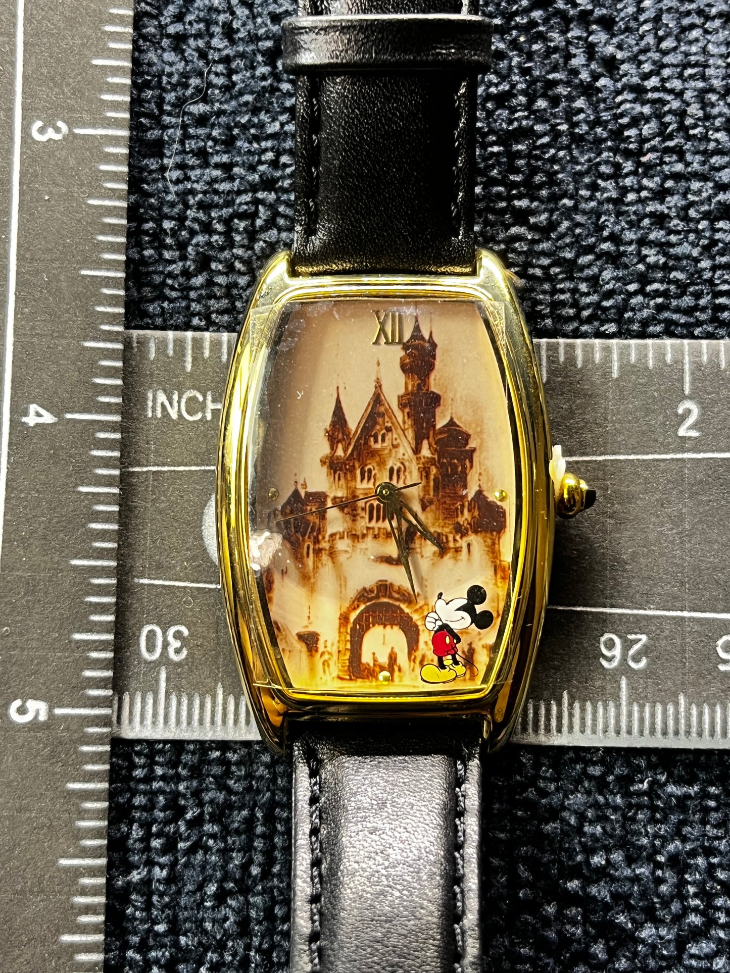 Everlasting Time Limited Edition Disney Watch